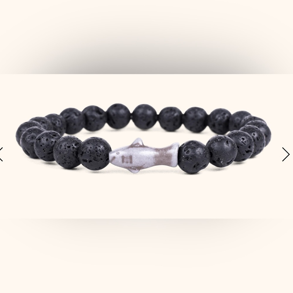 The Voyage Shark Bracelet nonprofit organization “track your wild animal